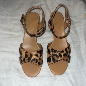 J Crew calf hair low block heel sandals leopard print. Never worn.